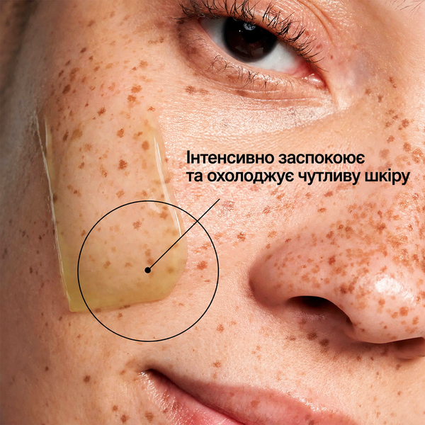 Ботанічна заспокійлива маска для обличчя інтенсивного догляду SkinCeuticals Phyto Corrective Masque Intensive Calming Botanical Masque 60 мл Phyto Corrective Masque 60 мл фото